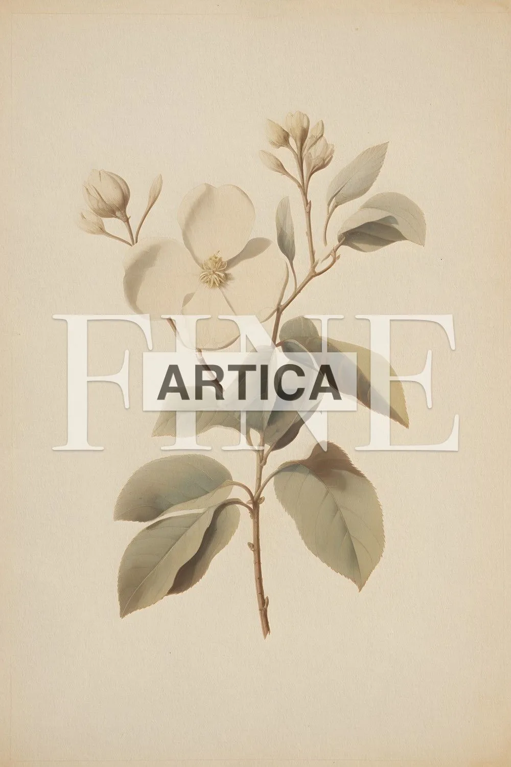 Vintage Botanical, vintage printable wall art