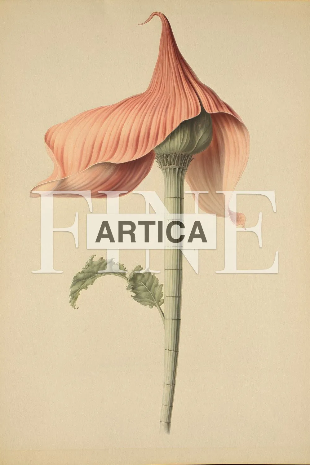 Elegance Unfurled: A Botanical Illustration