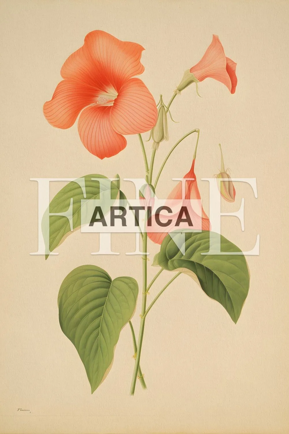 Floral Study: The Grace of Trumpet Vines