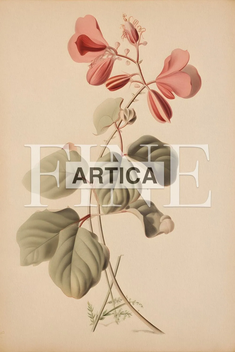 Botanical Elegance: The Coral Pea