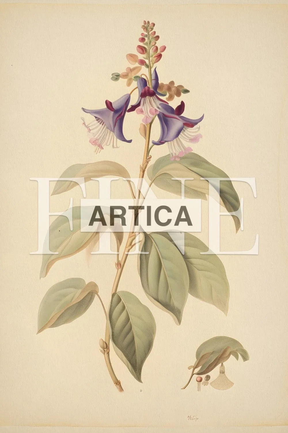 Graceful Elegance: The Botanical Study of a Bellflower