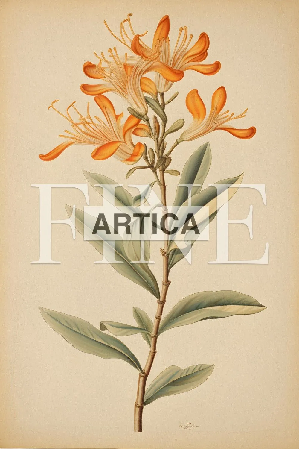 Orange Blossom Elegance